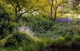 Paisaje natural del jardín con flores silvestres y árboles en flor