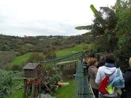 Vista panorámica del parque zoológico con visitantes caminando por un sendero elevado entre la vegetación