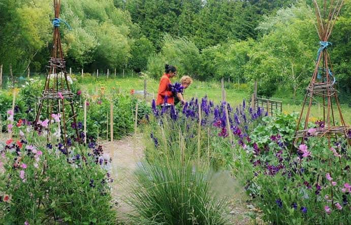 Sendero floral con personas cultivando entre flores y estructuras de bambú