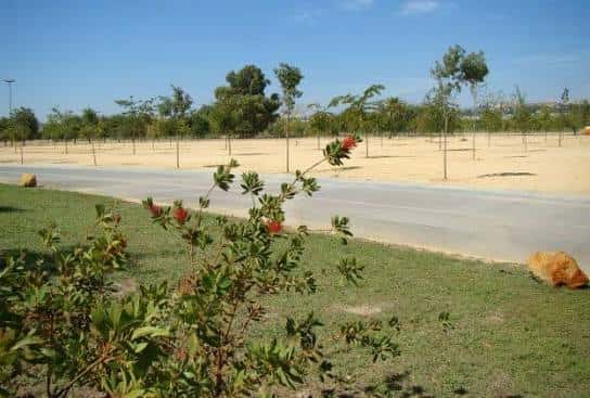 Espacio verde y zona de arena en el Parque de la Vega de Triana, ideal para eventos al aire libre