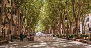 Passeig del Born durante el día con árboles frondosos y ambiente festivo