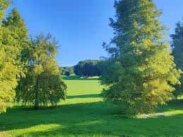 Vista panorámica del Parque de Contrueces con amplias zonas verdes y árboles bajo un cielo despejado