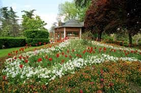 Jardines floridos con rosal y kiosco en el Parque de la Taconera