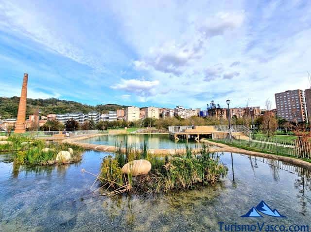 Estanque natural con vegetación acuática y pasarelas de madera en el parque