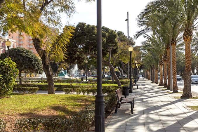Paseo arbolado con palmeras y bancos en el parque