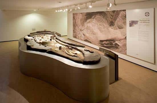 Exposición interior con maquetas arqueológicas y paneles informativos