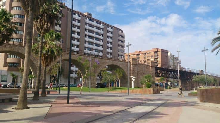 Paseo del parque con palmeras y estructura de viaducto