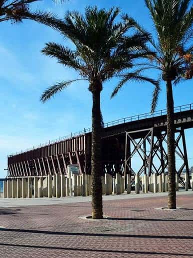 Puente metálico junto al mar con palmeras en primer plano