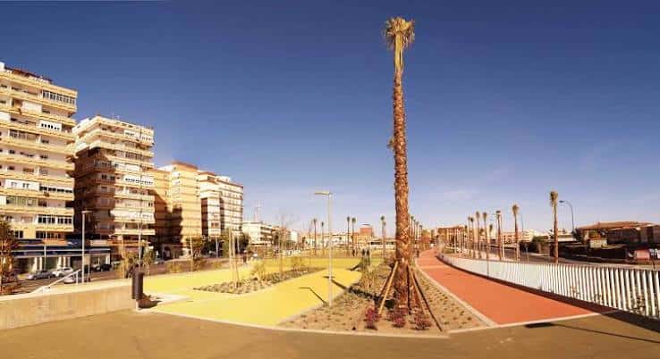 Paseo peatonal con zonas de césped y palmeras bajo cielo despejado