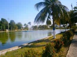 Sendero bordeando el lago del Parque de la Marina con palmeras y vegetación tropical