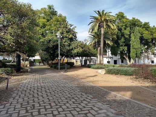 Sendero empedrado en los jardines con palmeras y edificaciones blancas al fondo