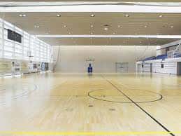 Pista de baloncesto interior con suelo de madera y gradas