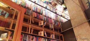 Detalle de las estanterías de madera con libros organizados y luz cálida