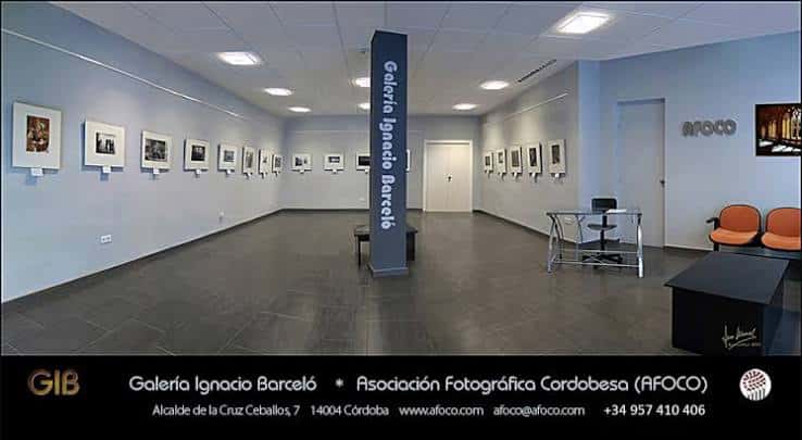 Interior de la Galería Ignacio Barceló con obras expuestas