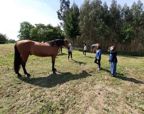 Grupo de personas interactuando con un caballo en un campo al aire libre