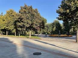 Área abierta del paseo con árboles y bancos bajo cielo despejado