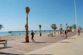 Vista del paseo marítimo con palmeras y personas caminando