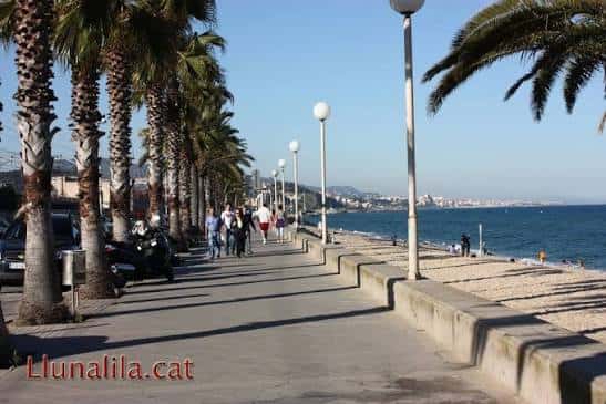 Paseo marítimo con palmeras y personas caminando