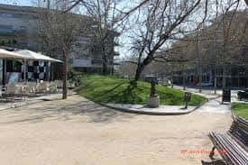 Área de descanso con mesas y sombrillas en el parque