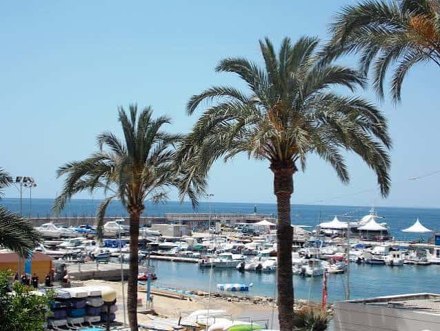 Puerto de Benidorm visto desde atrás de palmeras, con embarcaciones y toldos blancos