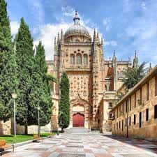 Entrada principal de la Catedral de Salamanca con patio ajardinado y cipreses altos