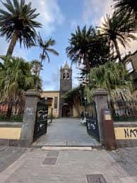 Vista frontal del Instituto de Canarias con su torre y palmeras
