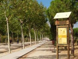 Sendero arbolado dentro del Parque Periurbano de Polvoranca con panel informativo