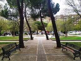 Sendero arbolado con bancos en el Parque Picasso