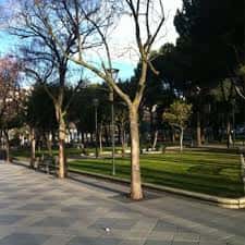 Área de césped y árboles en el Parque Picasso