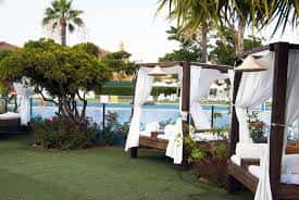 Zona de descanso junto a la piscina con hamacas y palmeras