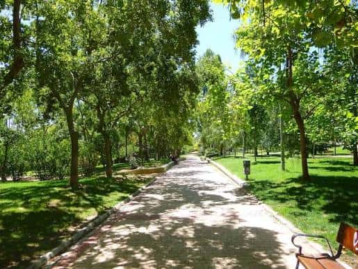Sendero arbolado en el Parque de la Paz con bancos y zonas verdes
