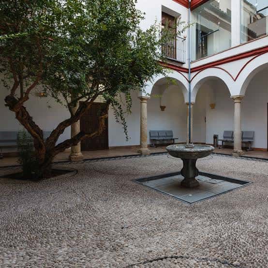 Detalle del patio con árbol, fuente y bancos bajo los arcos