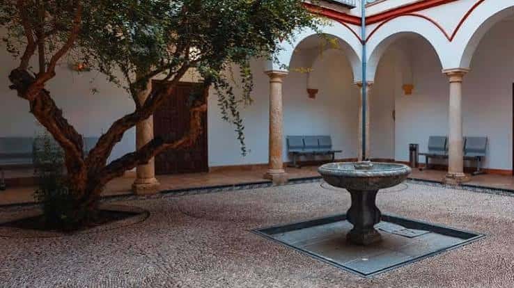 Patio interior con fuente, árbol y arquitectura de arcos y columnas