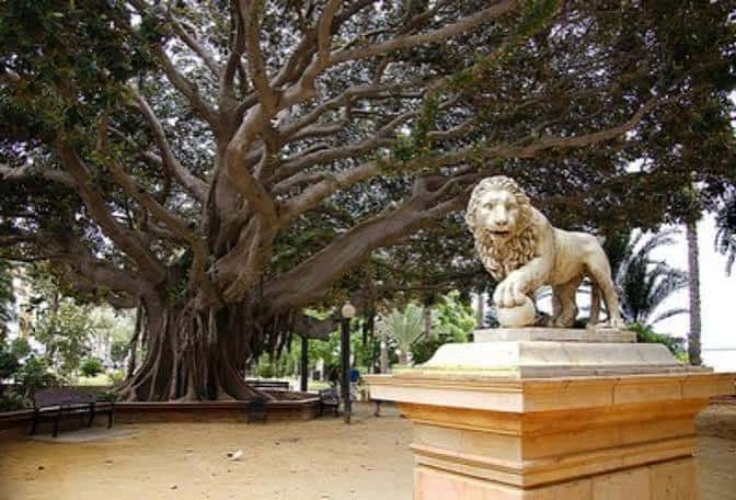 Estatua de león frente a un árbol monumental en el parque