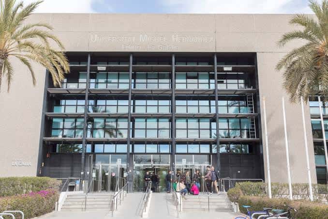 Fachada principal de la Sede UMH Plaça de Baix con entrada y palmeras