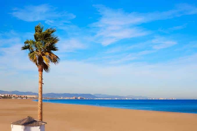 Playa de la Malvarrosa con una palmera solitaria y el mar Mediterráneo al fondo