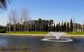 Vista panorámica del lago con fuente y palmeras en el Parque Alcalde Juan Ceada Infantes