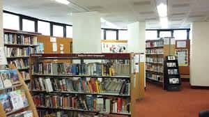 Interior de la biblioteca mostrando estanterías de libros y zona de lectura con alfombra roja