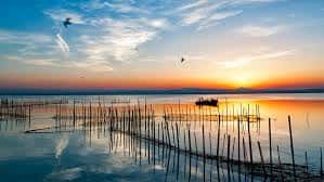 Paisaje sereno de la Albufera al atardecer con siluetas de aves y embarcaciones tradicionales