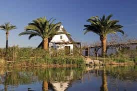 Casa tradicional valenciana rodeada de palmeras y reflejada en las aguas tranquilas del parque