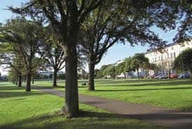 Área verde de Southsea Common con árboles y senderos peatonales