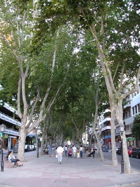 Avenida arbolada con personas caminando y edificios residenciales a los lados