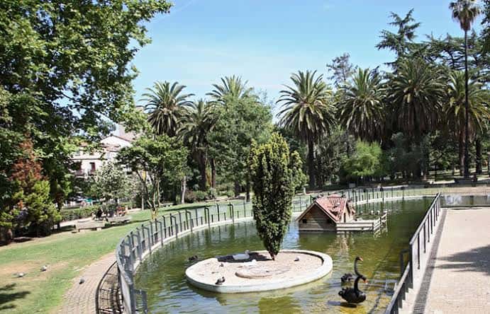 Vista panorámica del estanque central con palmeras y la isla del jardín