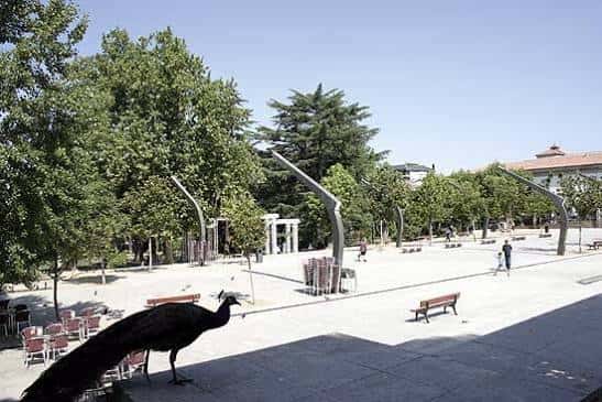 Pavimento del jardín con un pavo real y bancos para invitados