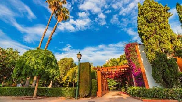 Entrada decorada con enredaderas y palmeras bajo cielo azul
