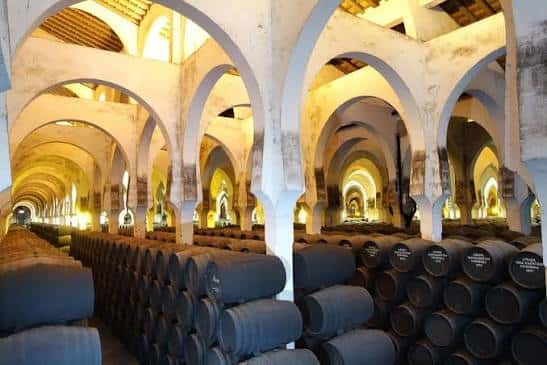 Interior de bodega con bóvedas y filas de barricas iluminadas