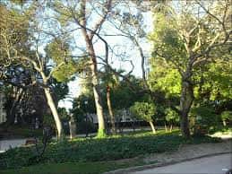 Paisaje ajardinado con senderos, árboles frondosos y zonas verdes ideales para eventos al aire libre