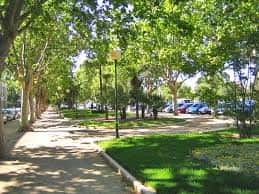 Sendero arbolado del Paseo de la Alameda con césped y coches aparcados