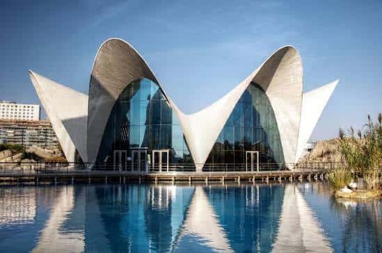 Vista exterior del edificio principal del Oceanogràfic con su característica fachada blanca y reflejo en el agua