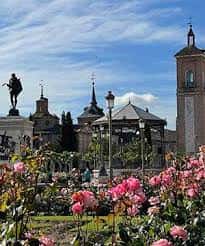 Plaza de Cervantes decorada con rosales en primer plano y la estatua del escritor en el centro